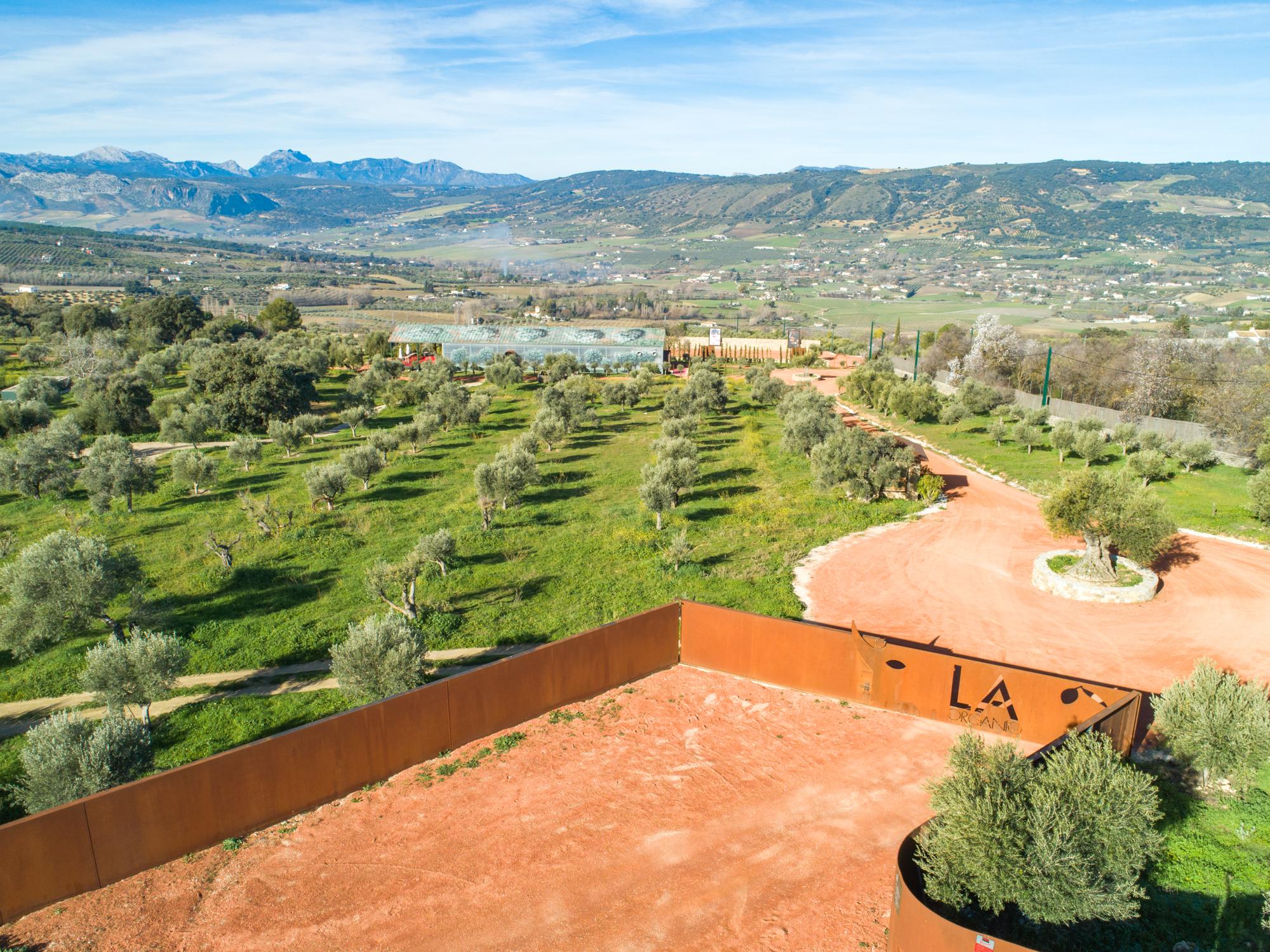 Cortijo La Organic Hotel รอนดา ภายนอก รูปภาพ