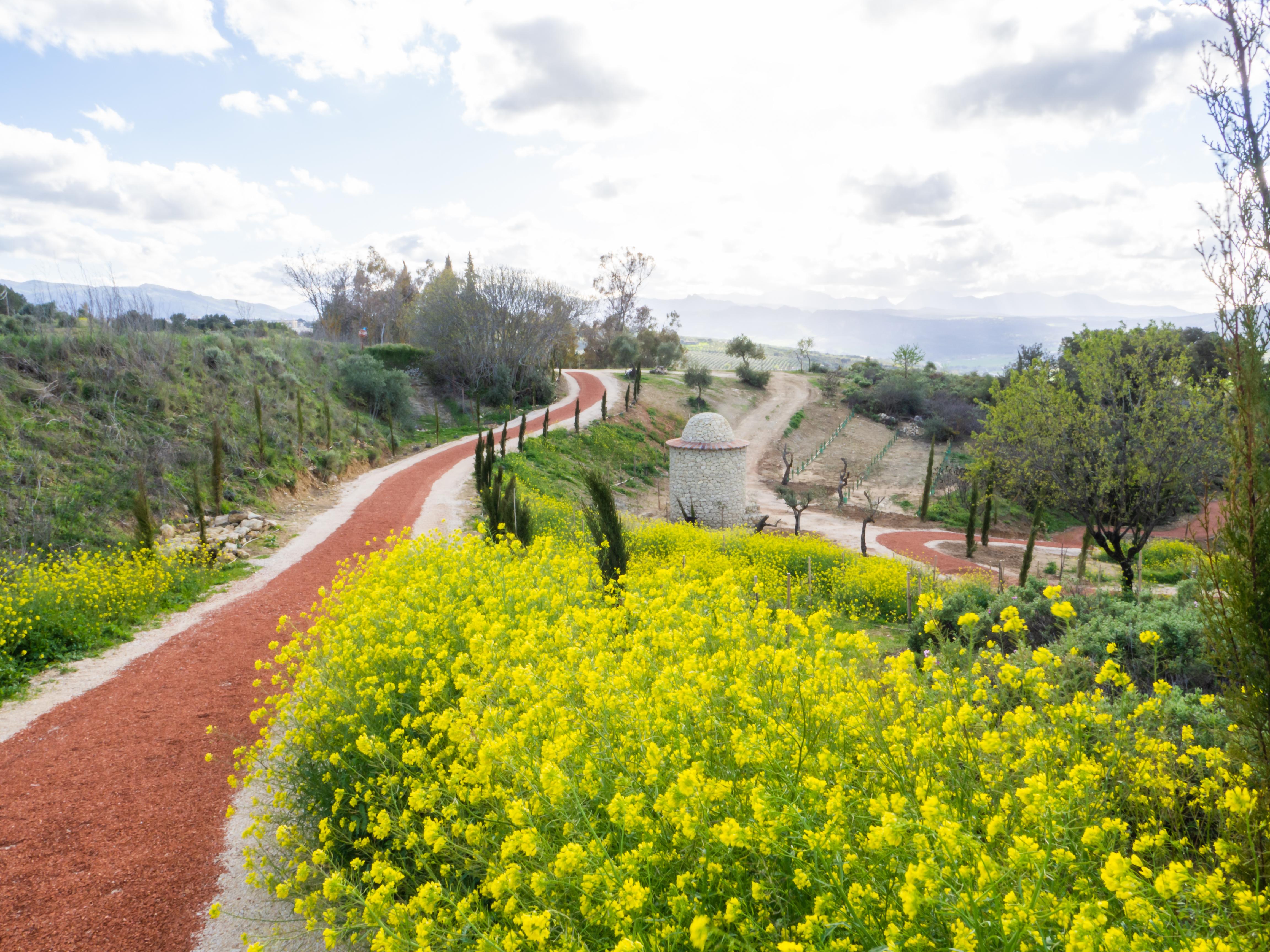Cortijo La Organic Hotel รอนดา ภายนอก รูปภาพ