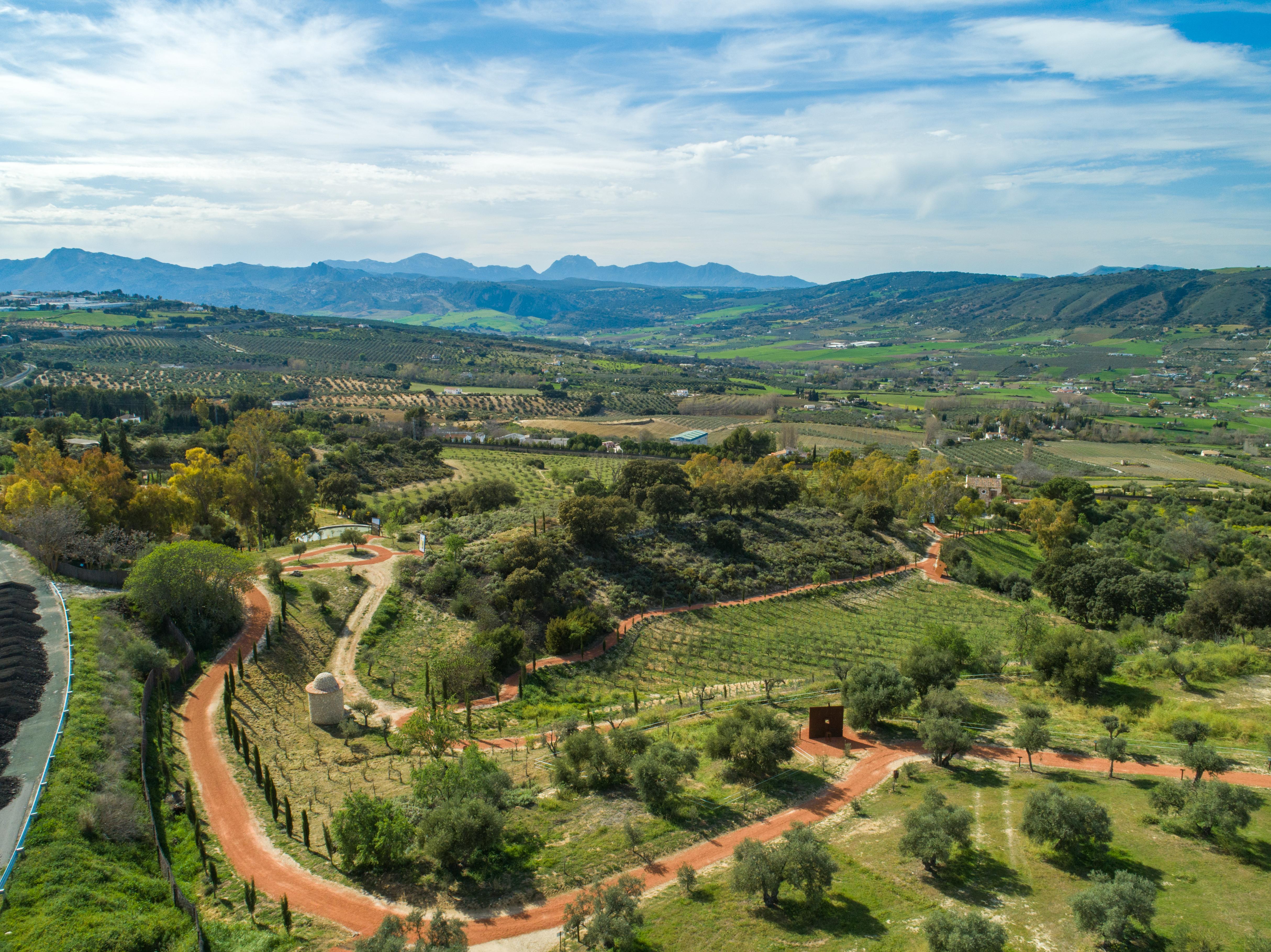 Cortijo La Organic Hotel รอนดา ภายนอก รูปภาพ