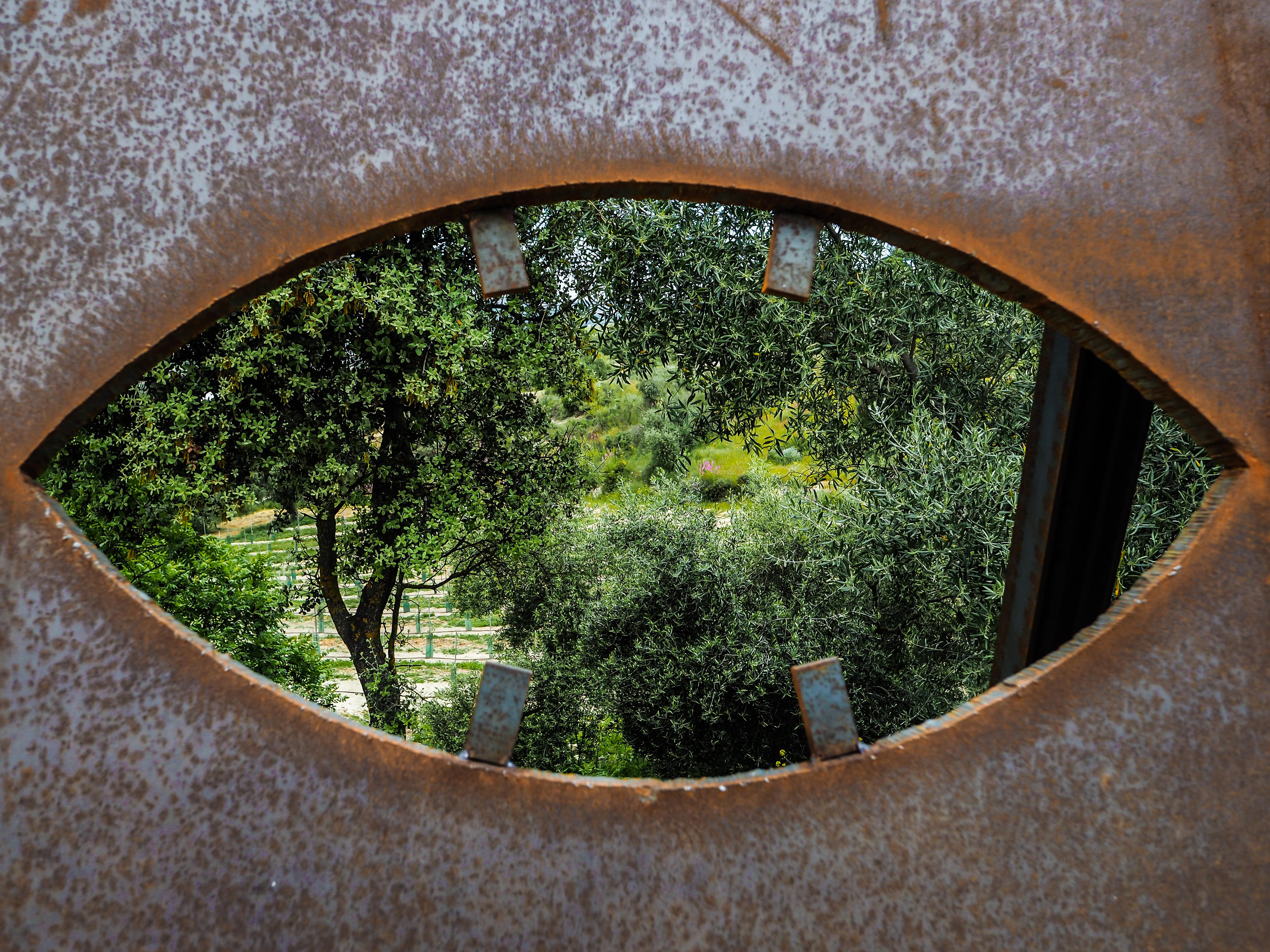 Cortijo La Organic Hotel รอนดา ภายนอก รูปภาพ