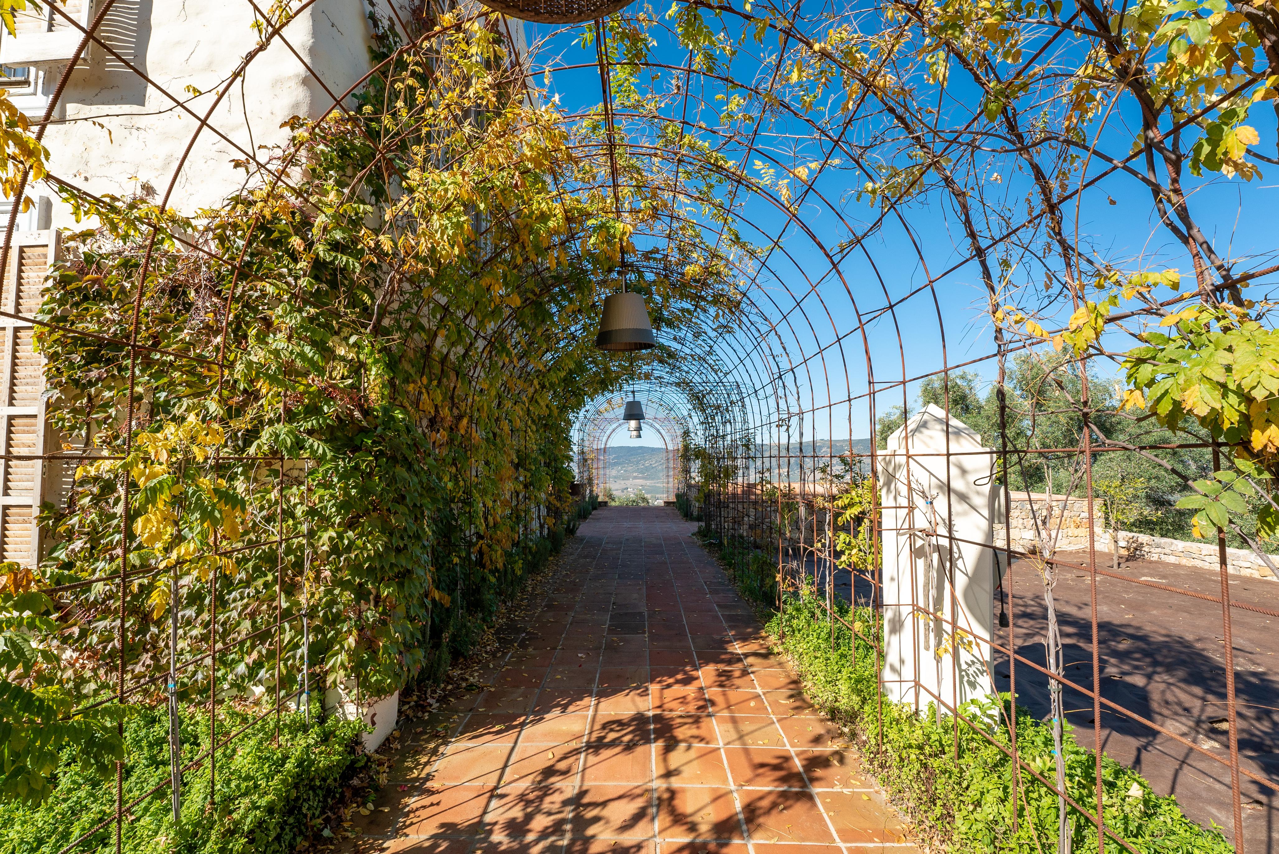 Cortijo La Organic Hotel รอนดา ภายนอก รูปภาพ