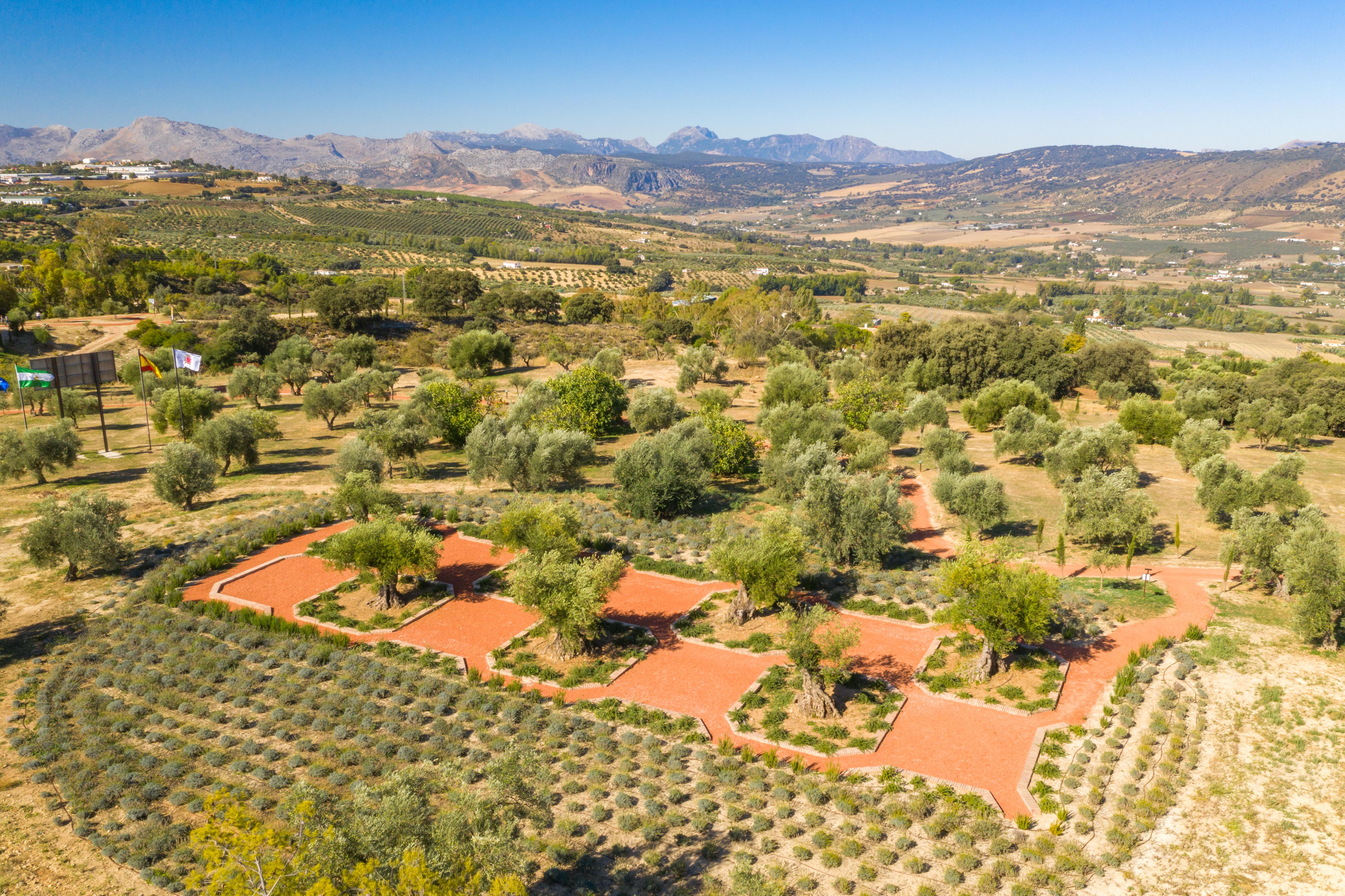 Cortijo La Organic Hotel รอนดา ภายนอก รูปภาพ