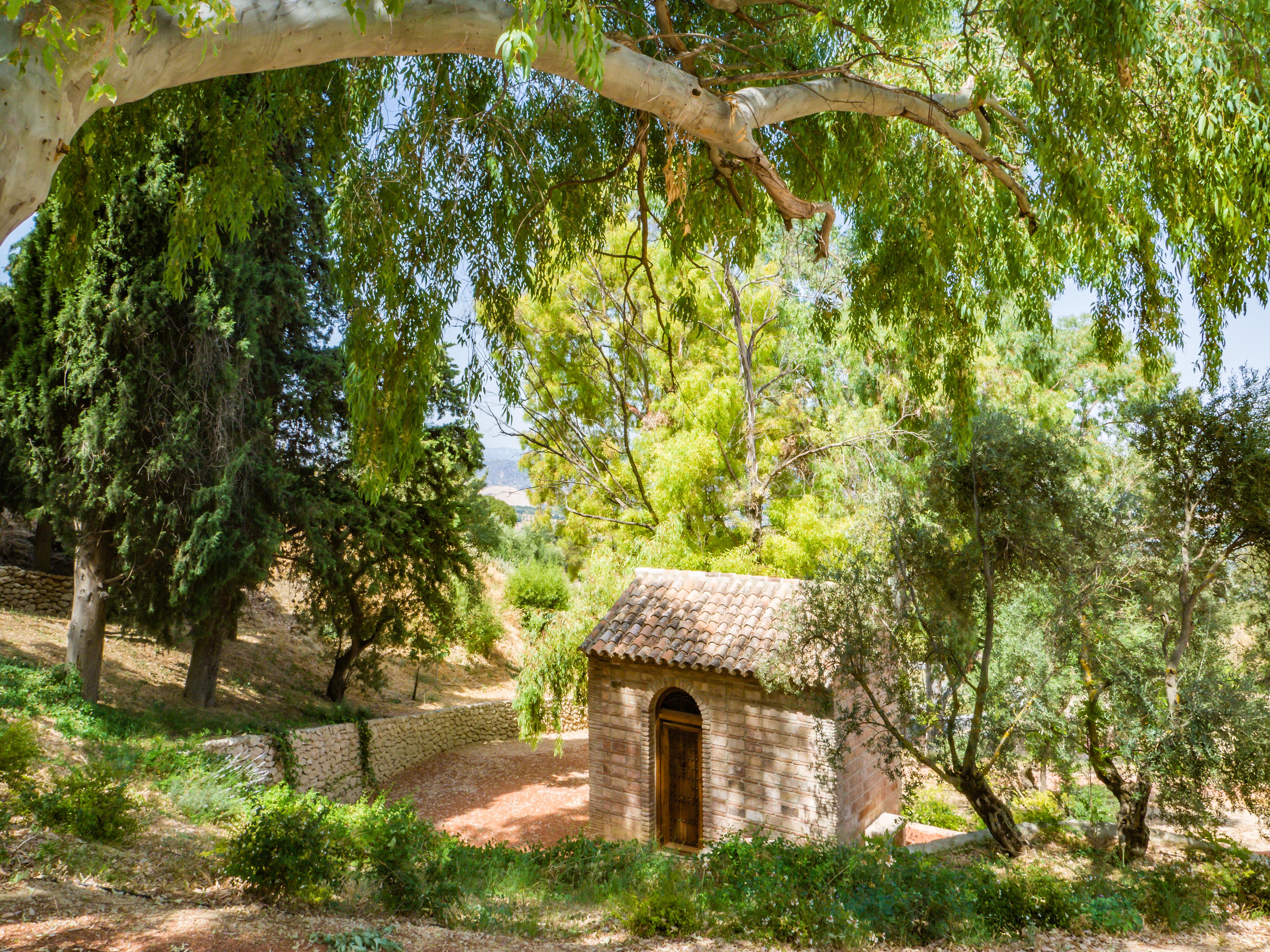 Cortijo La Organic Hotel รอนดา ภายนอก รูปภาพ